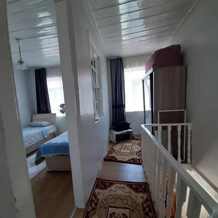 Ayvalikta Gunluk Kiralik Ev Ayvalı